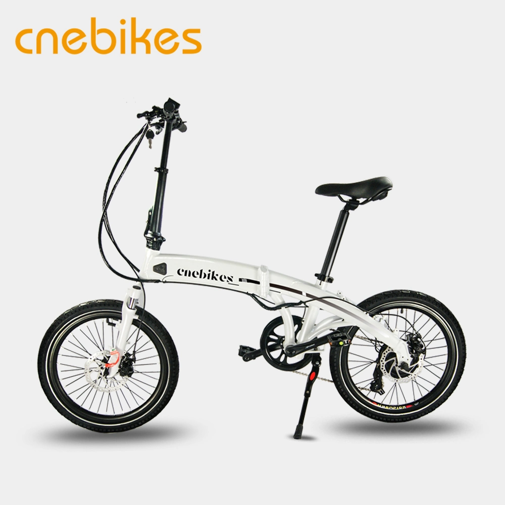 20 Inch 250W Power Mini Electric Folding Bikes