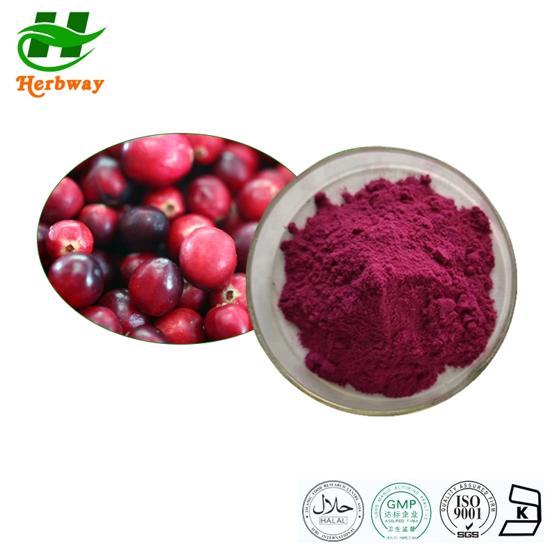 Herbway Fssc Certifié HACCP Halal casher Vaccinium macrocarpon L. Cranberry Extrait de fruits
