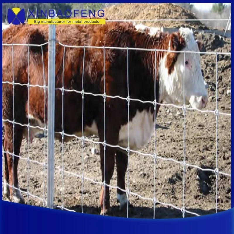 Galvanizado en caliente de los pastizales de venado la granja de ovejas valla valla