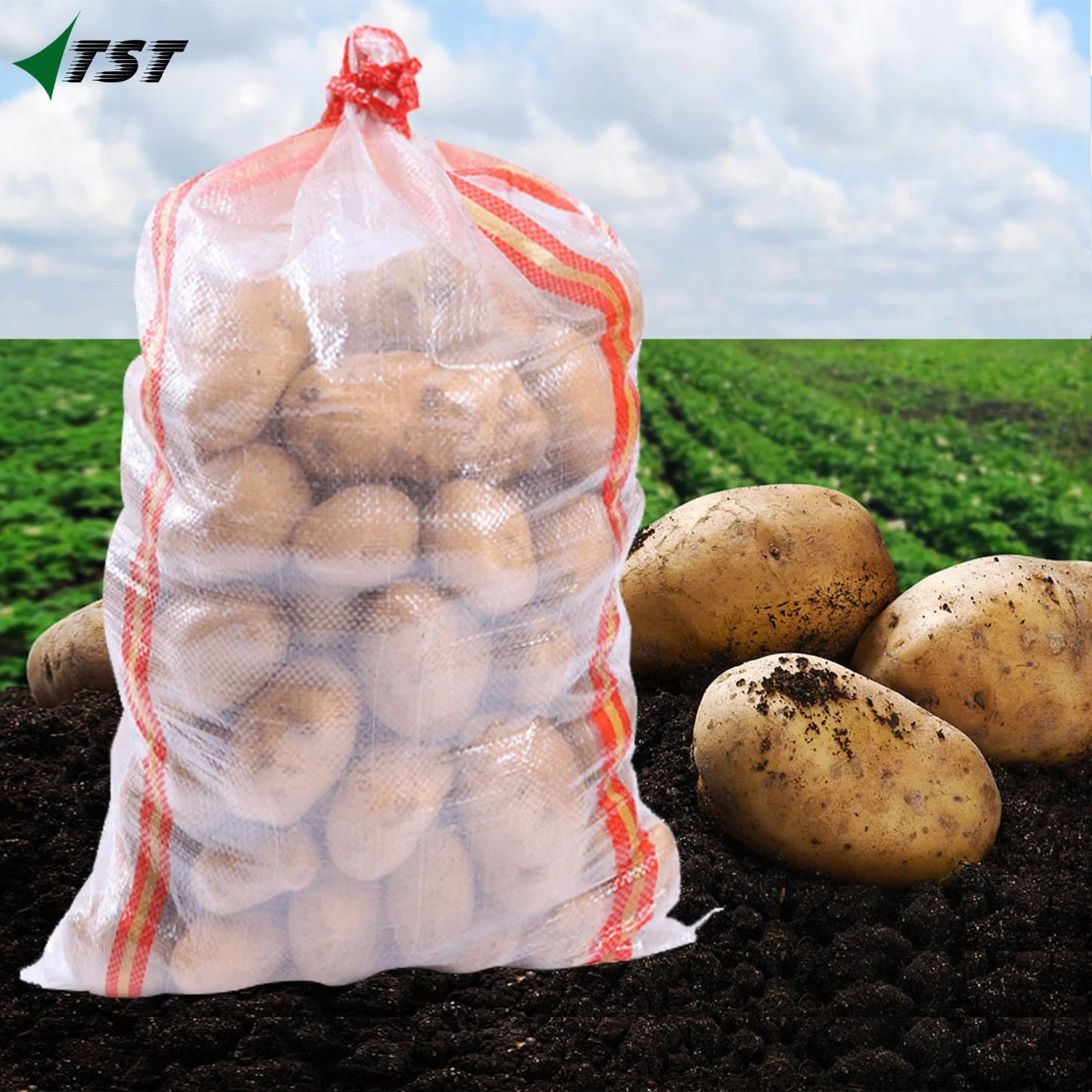 PP Gewoven Transparent Mesh Bag für Verpackung Landwirtschaft mit Drawstring Für Russland
