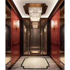 Luxury Decoration Stainless Steel Passenger Elevator Lift