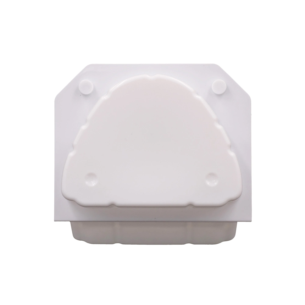 Denture Transportation Box with Two Sponge