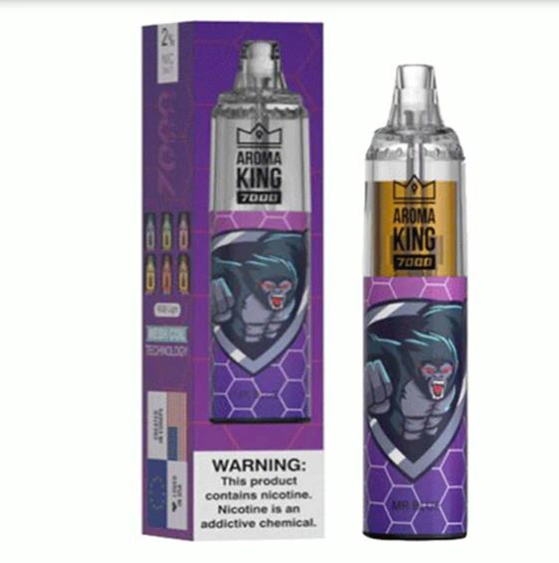 Populaire de vente Aroma King Disposable/Chargeable Vape Original 7000 puffs avec Saveur de fruit