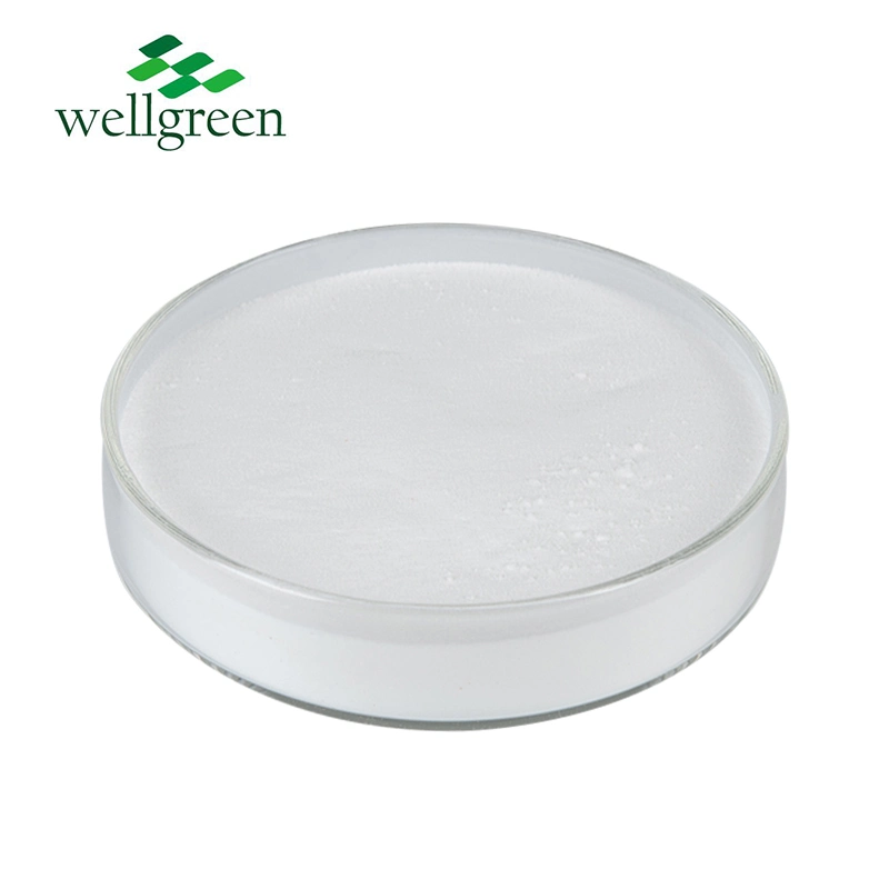 Wellgreen Bulk Quality Provide Sample Food Grade Essential Amino CAS 56-84-8 L-Aspartic Acid