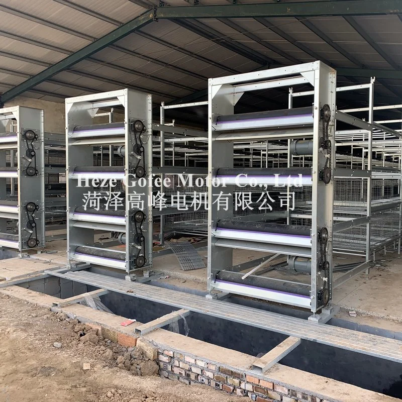 Poultry Equipment Farming Broiler Layer 3 Tiers 4 Tiers Animal Husbandry Equipment Hot DIP Galvanized Feeding Line Cage System