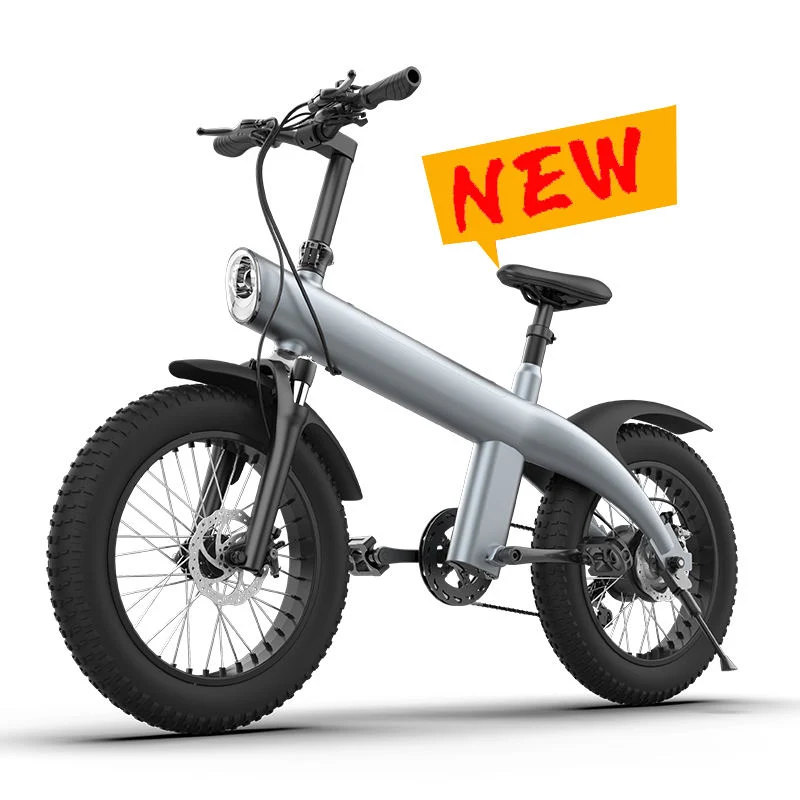 2024 New Design CE Certificate Mountain Ebike with 32km/H Lithium Battery