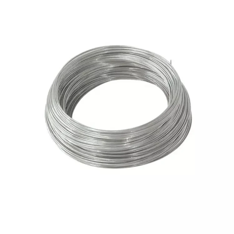 Stainless Steel Spring Wire Special Shaped Stainless Steel Profile Wire