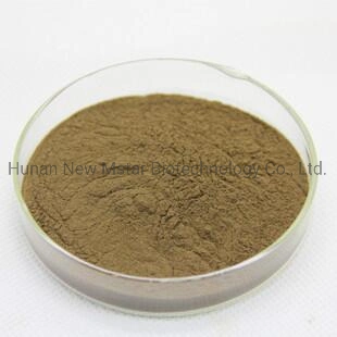 Factory Supply Olive Leaf Extract with Oleuropein