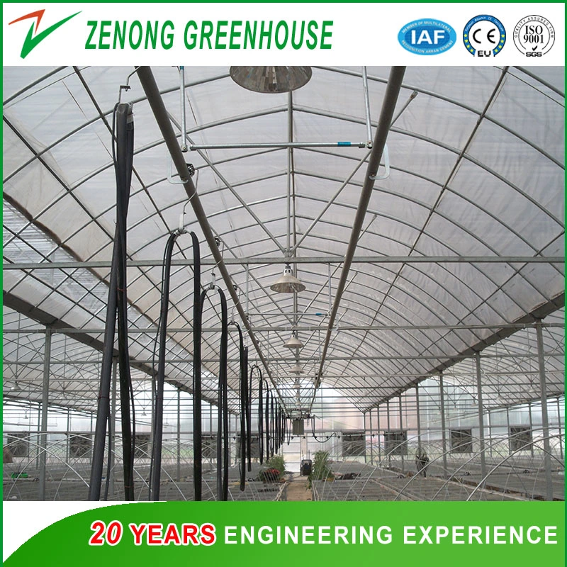 Good Quality Plastic Film Green House with Galvanized Standing Pillar for Sale