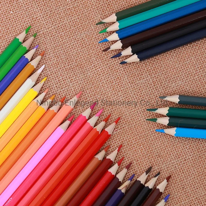 12pcs papeterie crayons de couleur en bois avec barillet