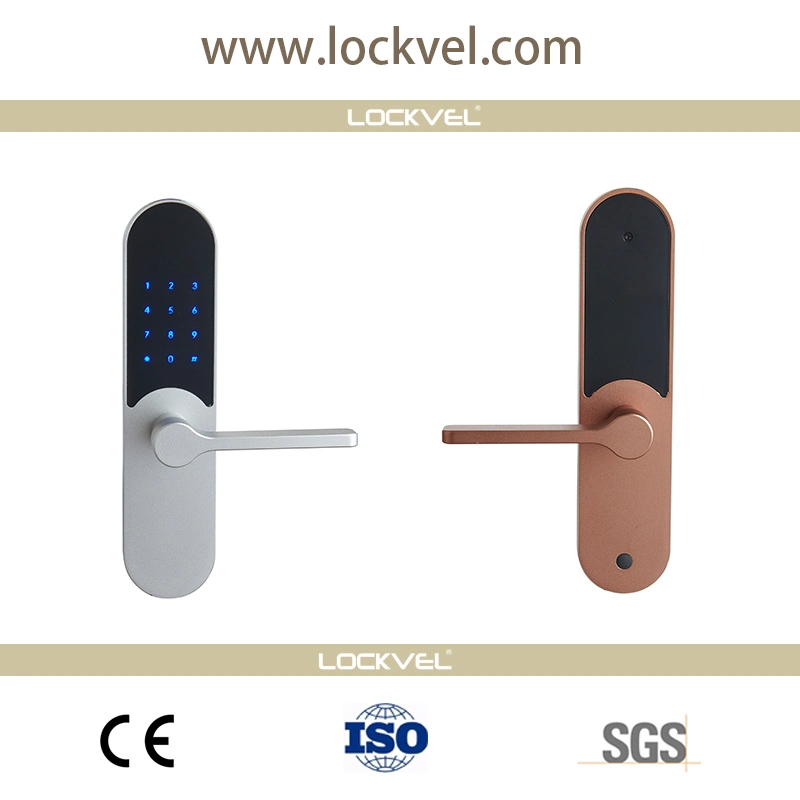 Electronic Key Digital Deadbolt Door Code Handle Lock Bluetooth APP Smart Home Door Lock WiFi