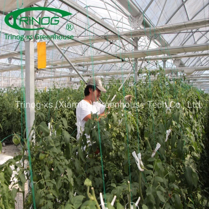 Trinog agricultural roof vent hook hanging tomato hydroponics growing green house for farm