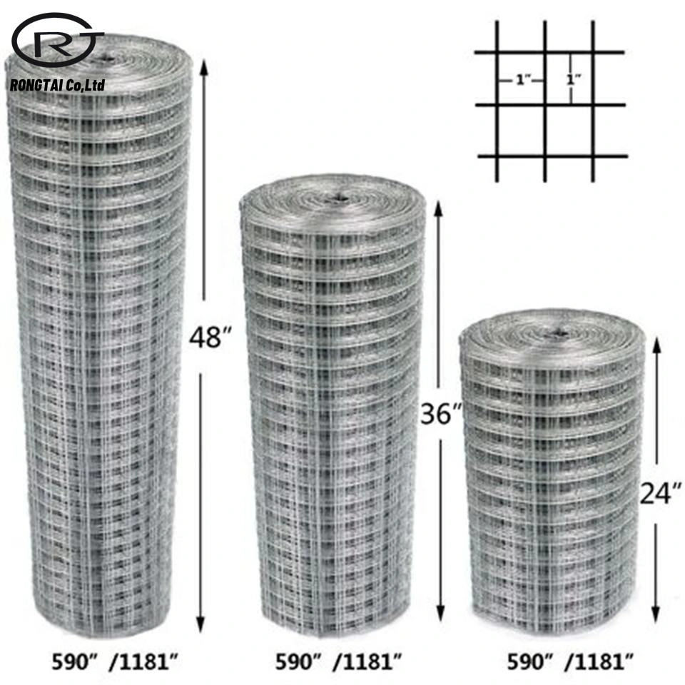 Низкая цена сварной оцинкованной проволоки сетка проволочной сетки из нержавеющей стали для строительства