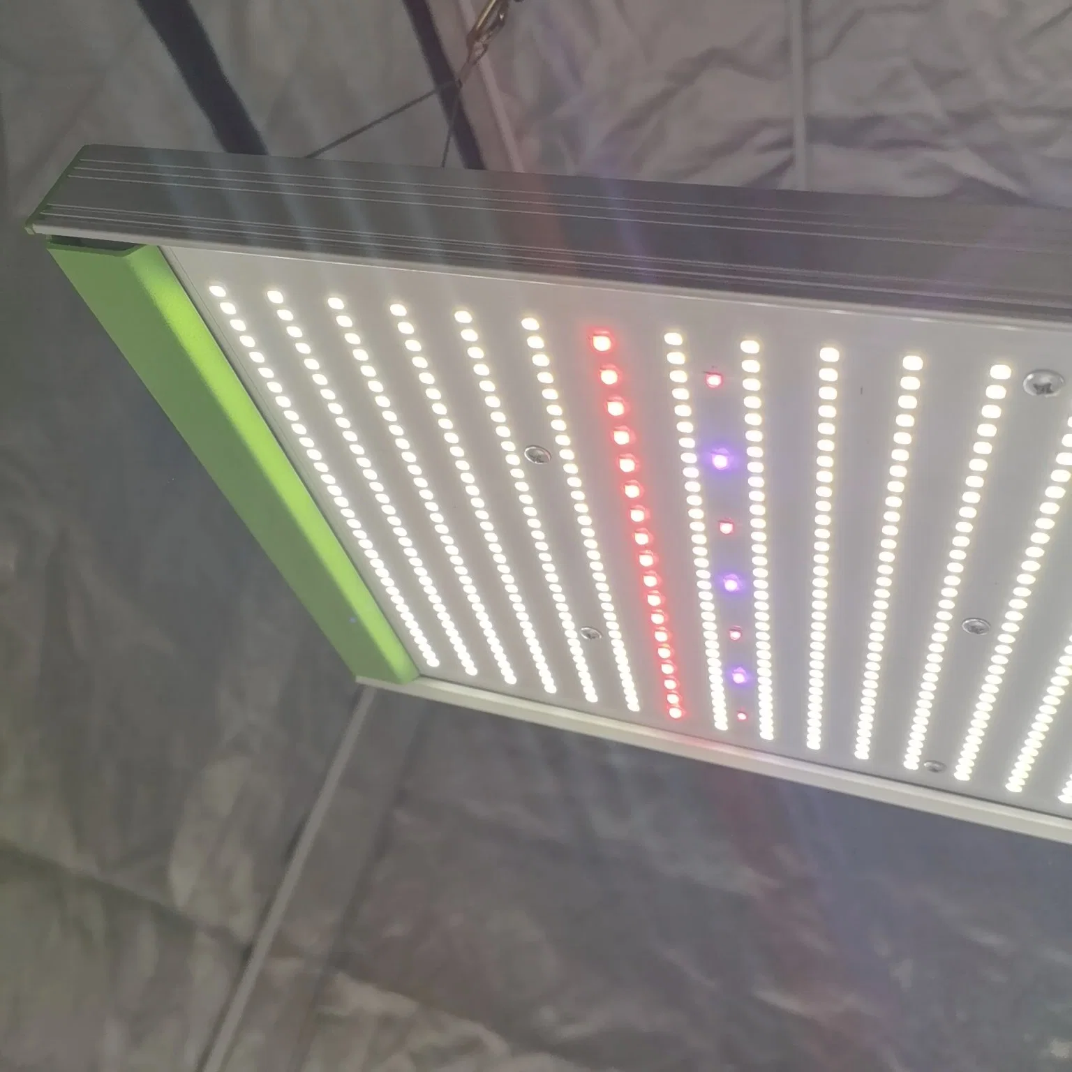 Ilummini 320W Horticultura LED crecer la luz con espectro completo para Plantas de interior