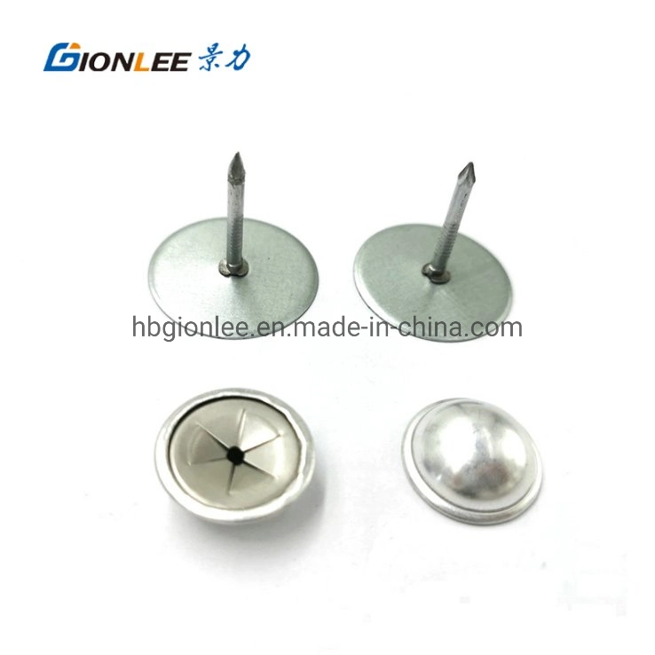 Stainless Steel Round Head Fixing Pins Riveting Pins