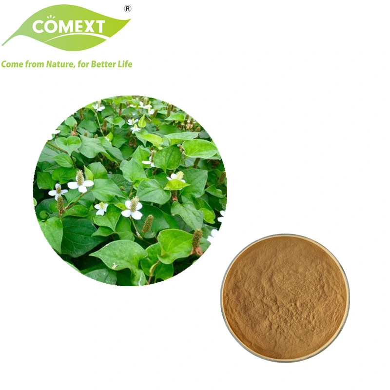 Comext Factory Halal Kosher Free Sample Natural Plant Extract Health Product Houttuynia Extract Powder