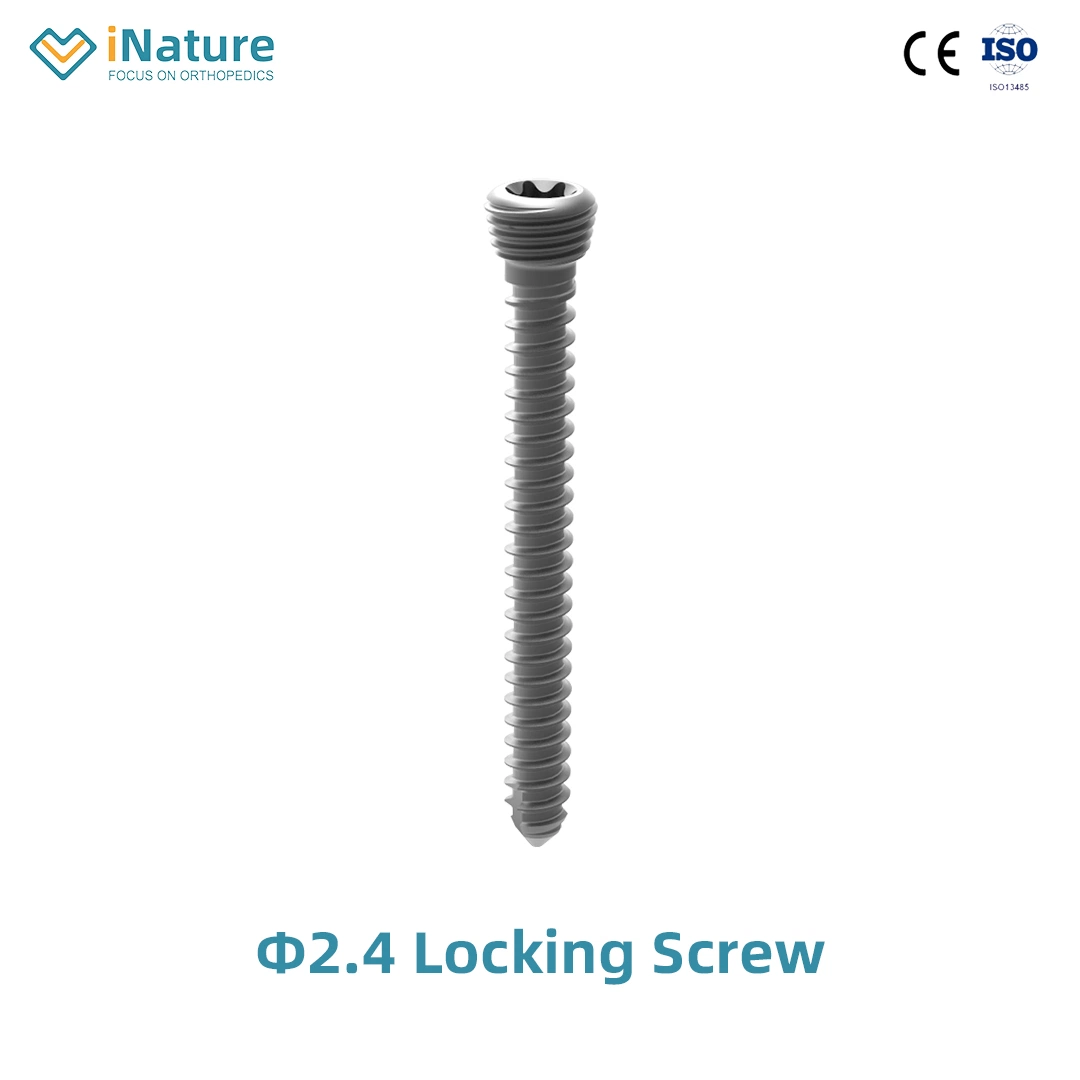 Top Quality Locking Screw Self-Tapping Orthopedic Screws