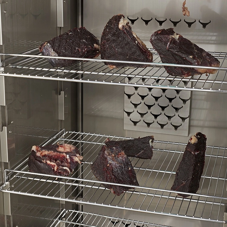 Professional Dry Aging Mature Cabinet Dry Age Beef Refrigerator for Making Beef Aging Refrigerator Dry Aging Machine Meat Ager