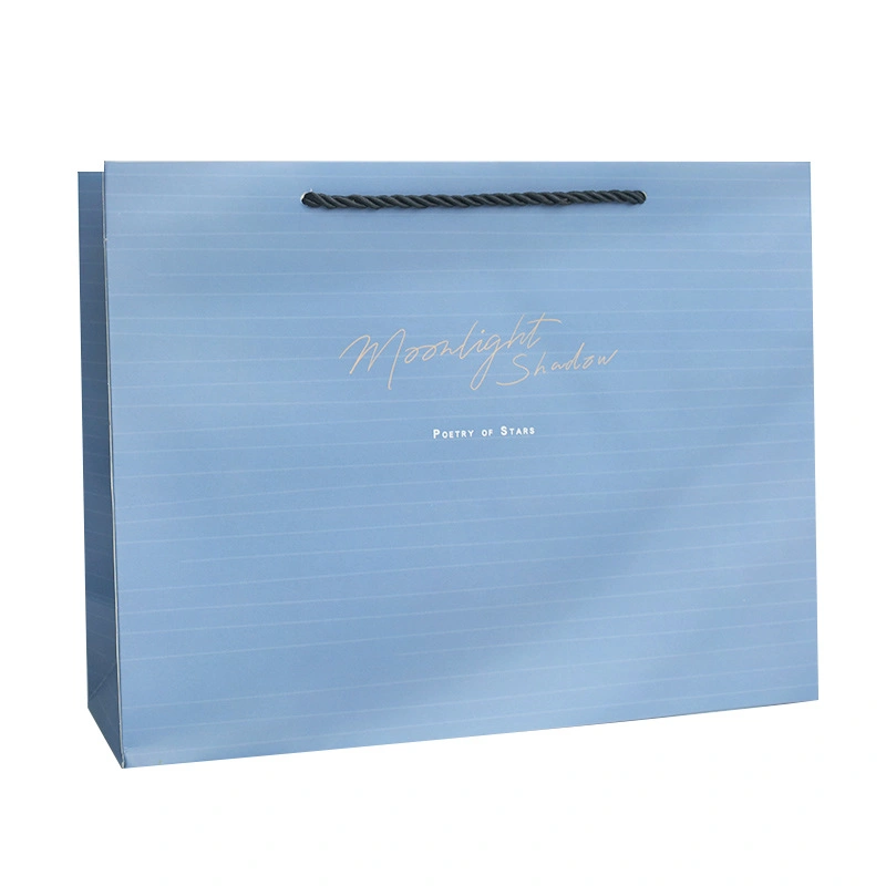 Fashion Cosmetic Art Paper Promotional Bag with Logo Printing