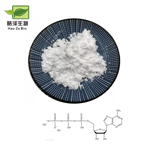 Intermédiaires pharmaceutiques adénosine 5′ -triphosphate sel disodique (ATP-Na2) cas 987-65-5