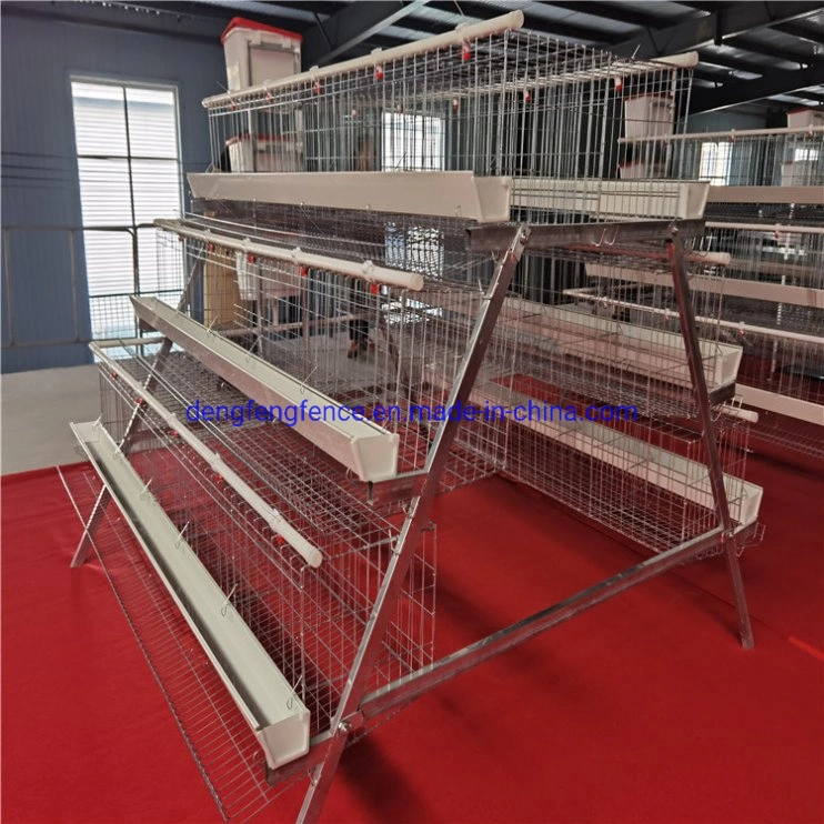 Poultry Farming Equipment a Type Layer Chicken Cage with Automatic System