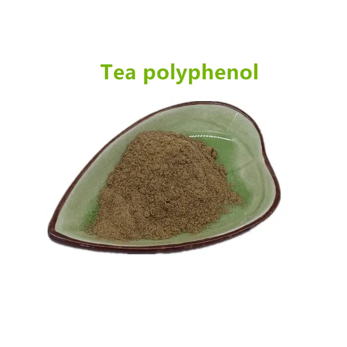 Natural Organic 95% Green Tea Extract Polyphenols 84650-60-2 Tea Polyphenol