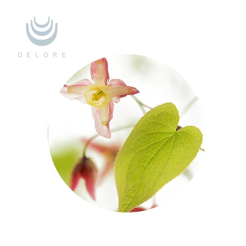 Epimedium استخراج هوت البيع عالية الجودة الطبيعية Epimedium استخراج Icariin