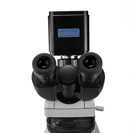 BestScope BWHC2-4K8MPB 4K Multimedia Interface WIFI USB appareil photo numérique de sortie de microscope