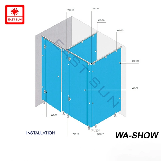 Tempered Glass Wall Panel Partition Toilet Cubicle Accessories (WS-SHOW)