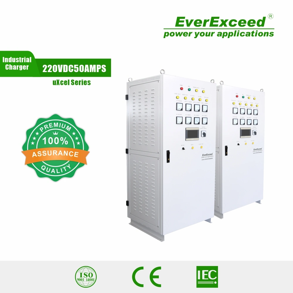 Зарядное устройство Everrecharger на 220 в с различными функциями