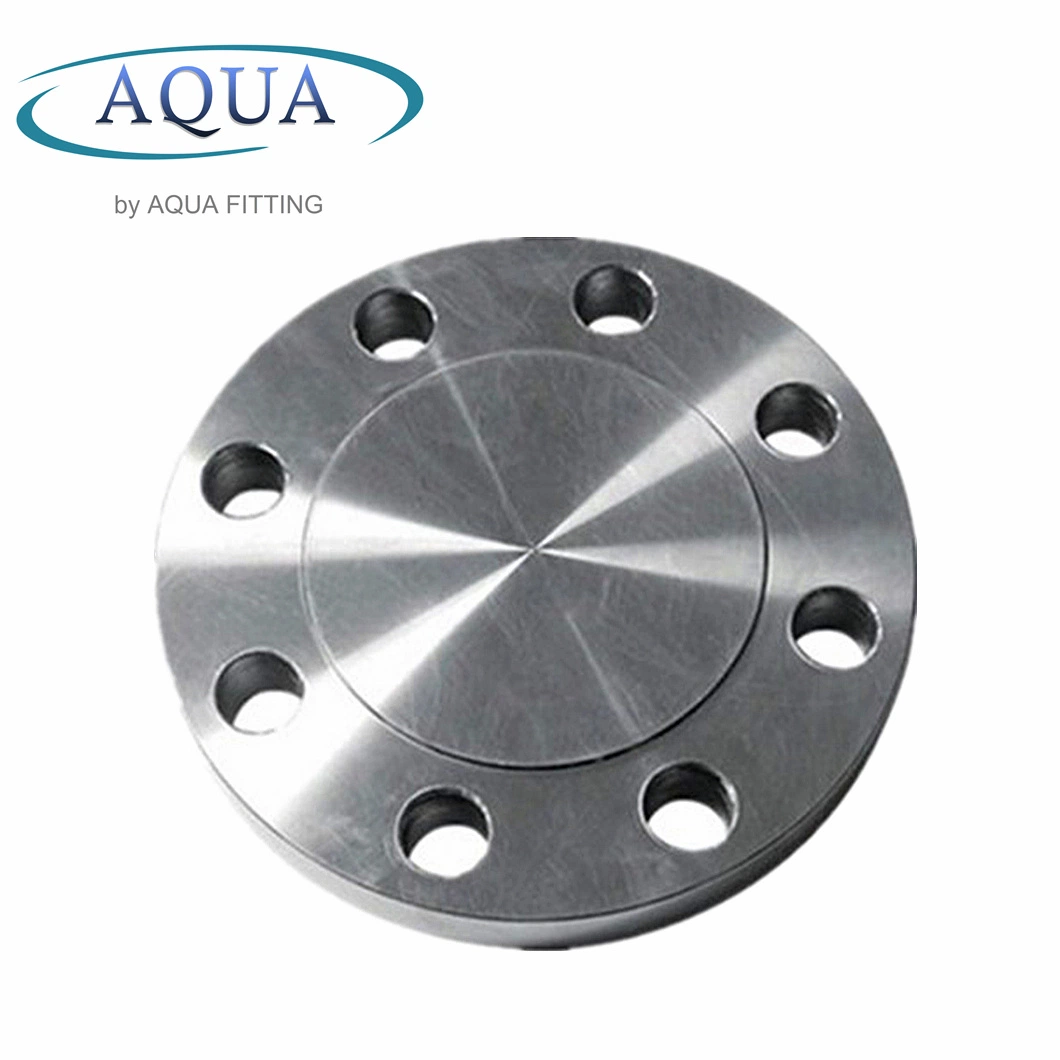 Forging/Casting Flanges Oil/Gas RF Blind Flange Carbon Steel Black Flange