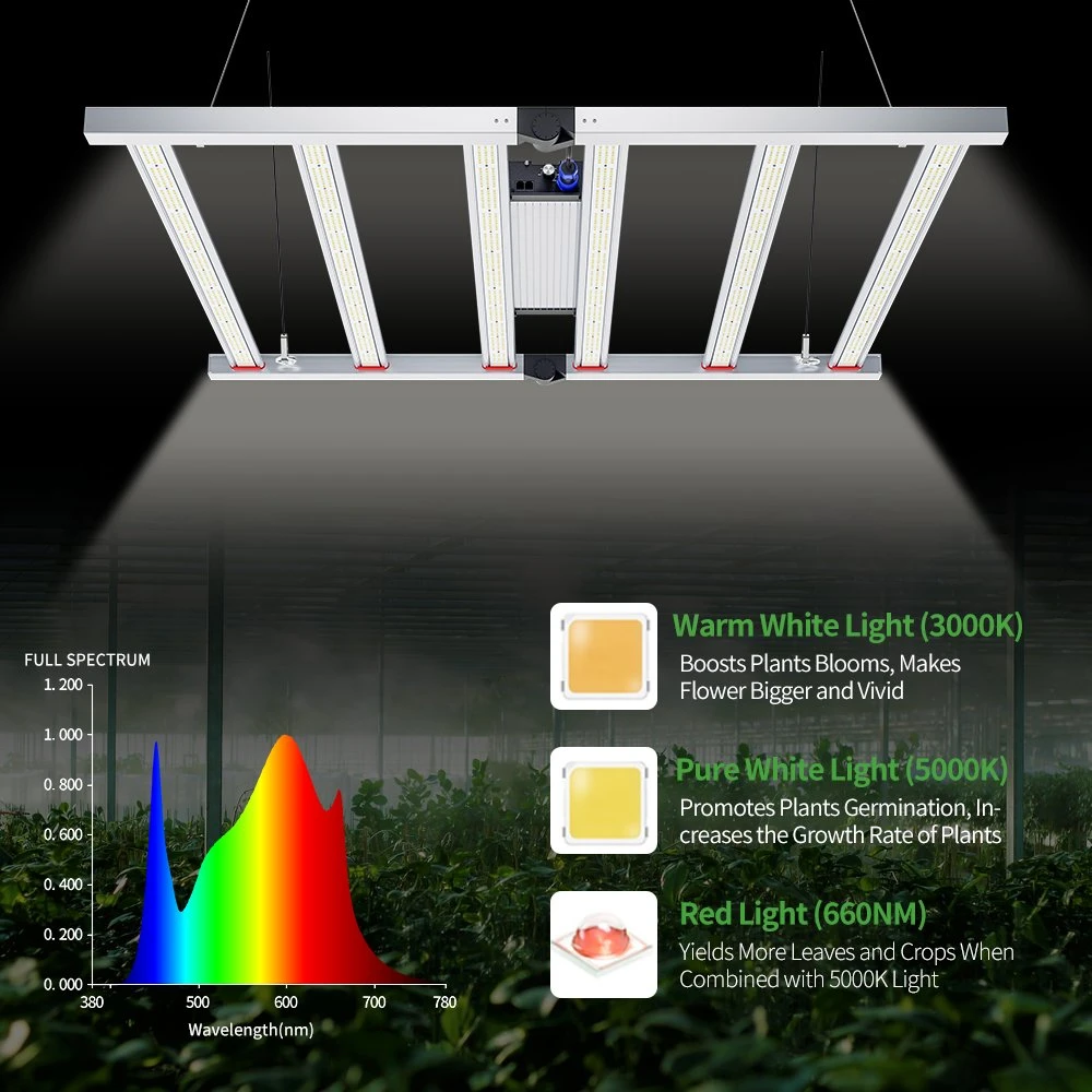 إضاءة LED الداخلية ذات طيف كامل من سامسونج Lm301b OSRAM بالجملة ضوء النمو LED للبستنة الزراعية التجارية