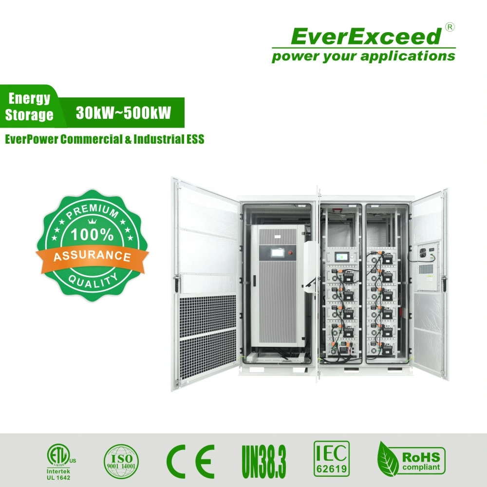 220VAC Everexceed Shenzhen, China Commercial UPS 100kw Energy Storage Solution Hot Sale