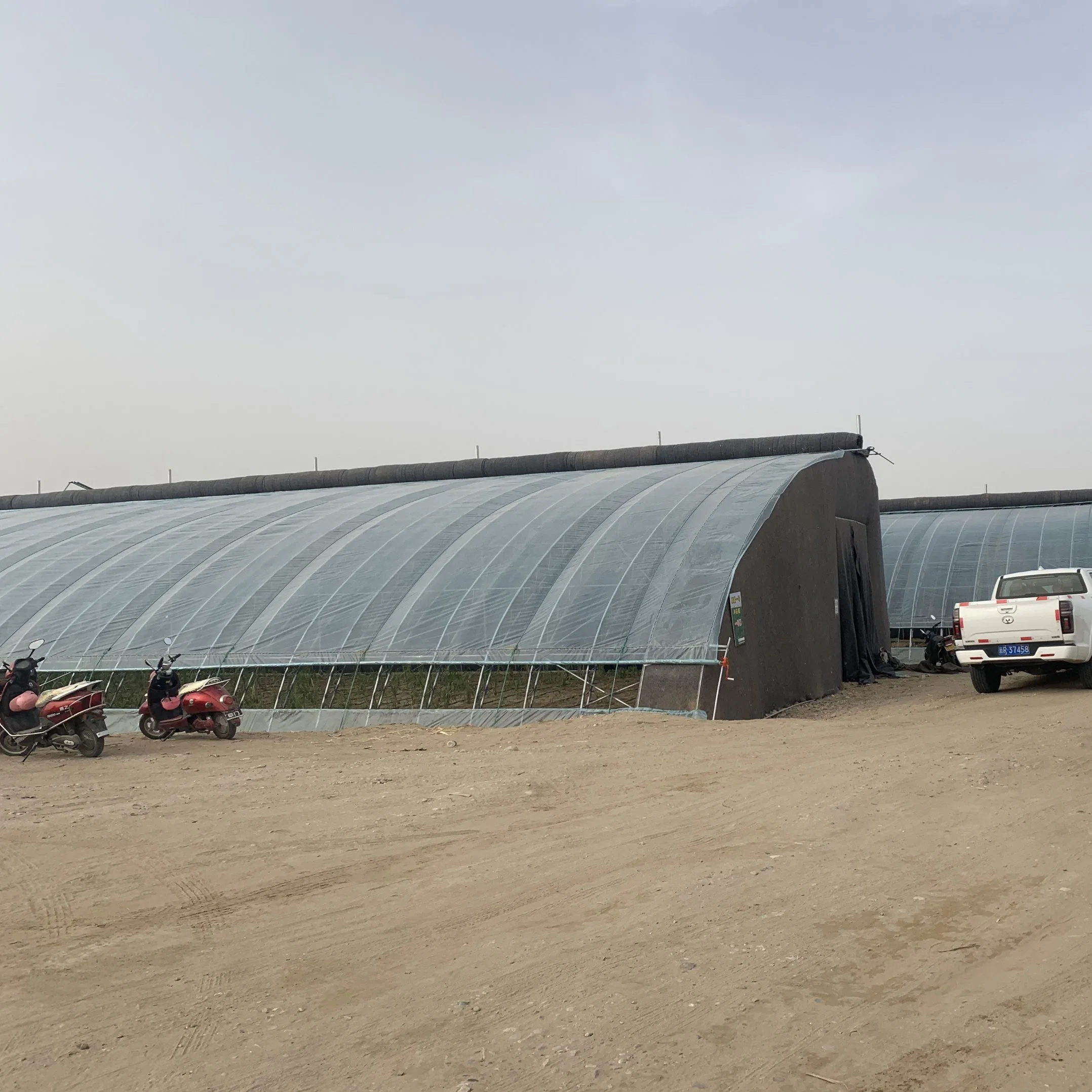 Muro de la junta compuesta de efecto invernadero Solar de la agricultura comercial de la casa verde de los Invernaderos de flores y verduras/reproducción de semillas