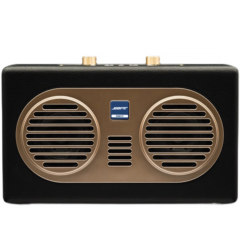 120W Customized Sound PA Lautsprecher Professionelle Audio Portable Wireless Karaoke