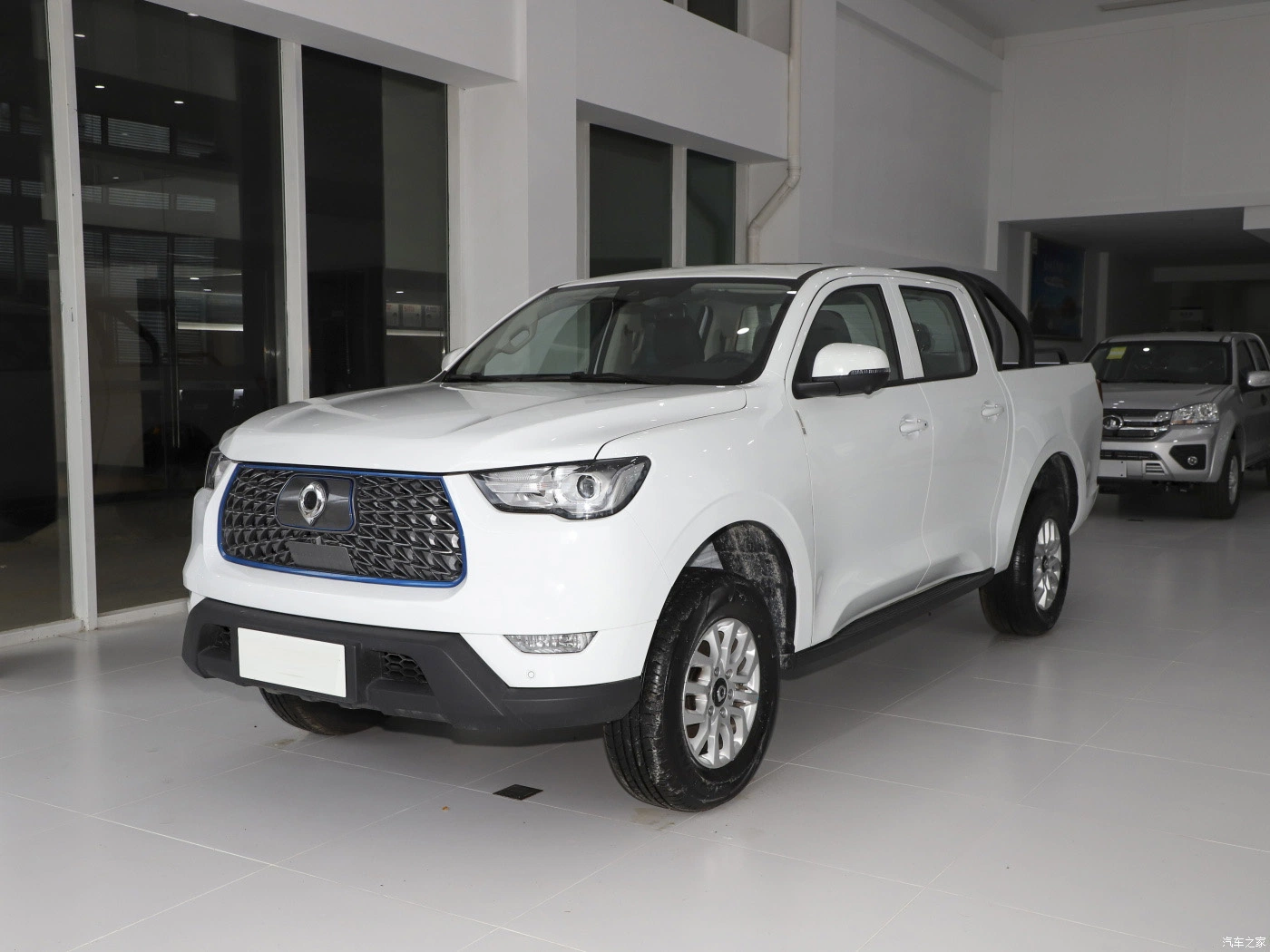 Electric Pickup Great Wall New 2WD Truck