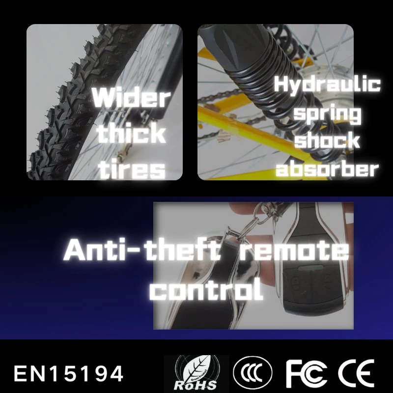 Ciclo do motor de fábrica na China Adulto E-bike 24polegadas Aoto Brushless aluguer