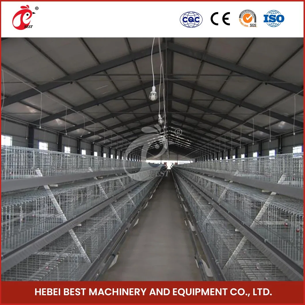 Bestchickencage China Hot Sale Chicken Trap Cage proveedores un marco Pollos para asar automática tratamiento de superficie caliente galvanizado de alta calidad Chick de pollo Jaula