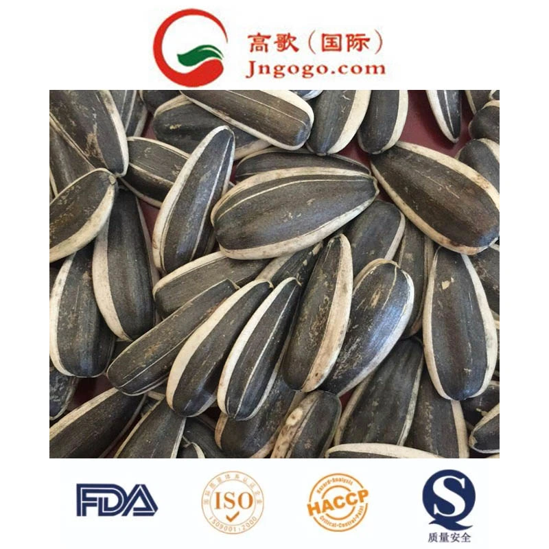 Export Good Quality Chinese Sunflower Seeds Manufacture