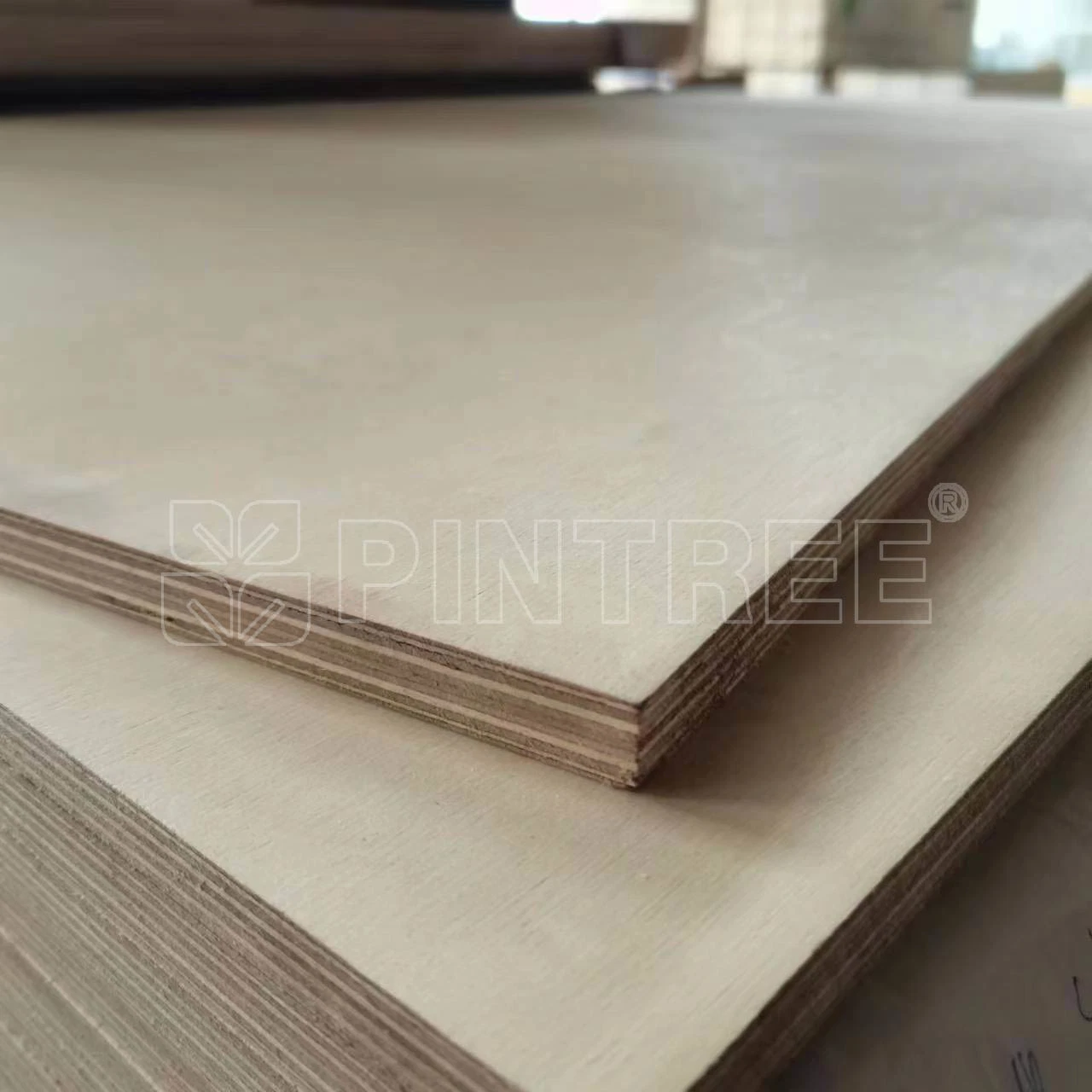 21mm Bb/Cp 100% Full Birch Plywood Board Making Table