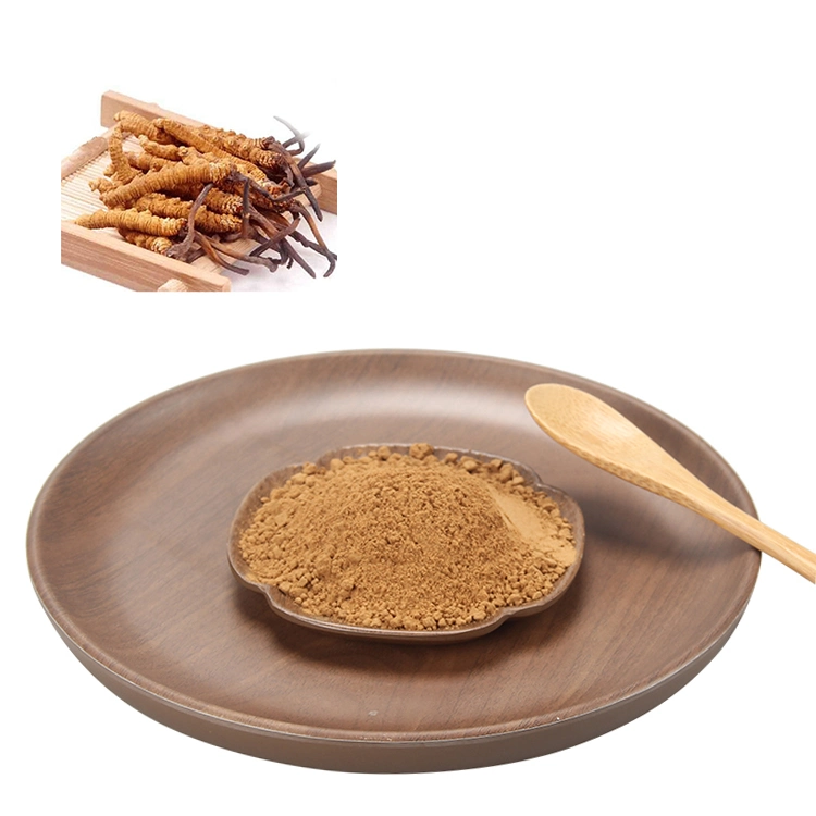 Cordyceps Mycelium Sinensis Cordyceps Militaris Mushroom Herbal Extract Powder