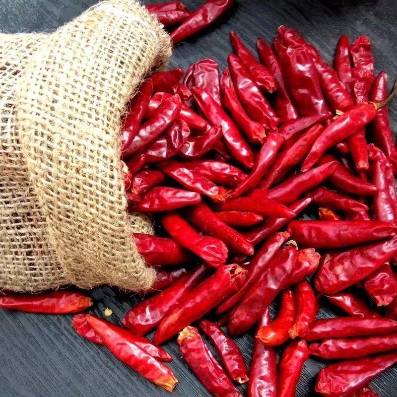 Organic Single Spices Dried Chili Pepper Hot Pepper Red Chilli for Sale/Tianjin Chilli