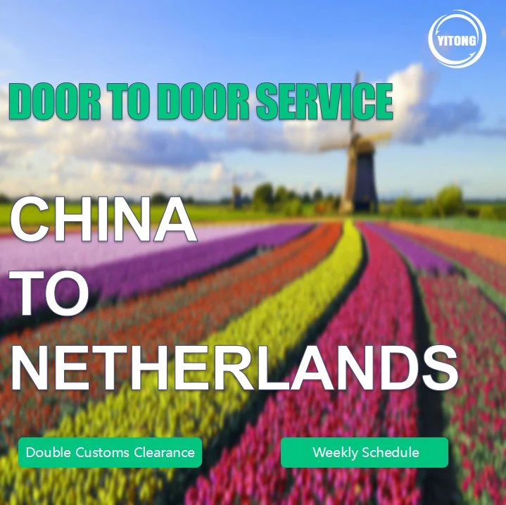 DDU DDP LCL Shipping Service From Shantou Shenzhen China to Netherlands