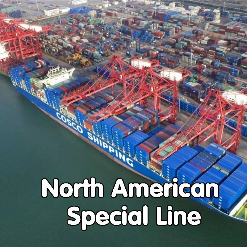 Sea Freight Shipping Cost China to Mexico Door to Door Cargo Services