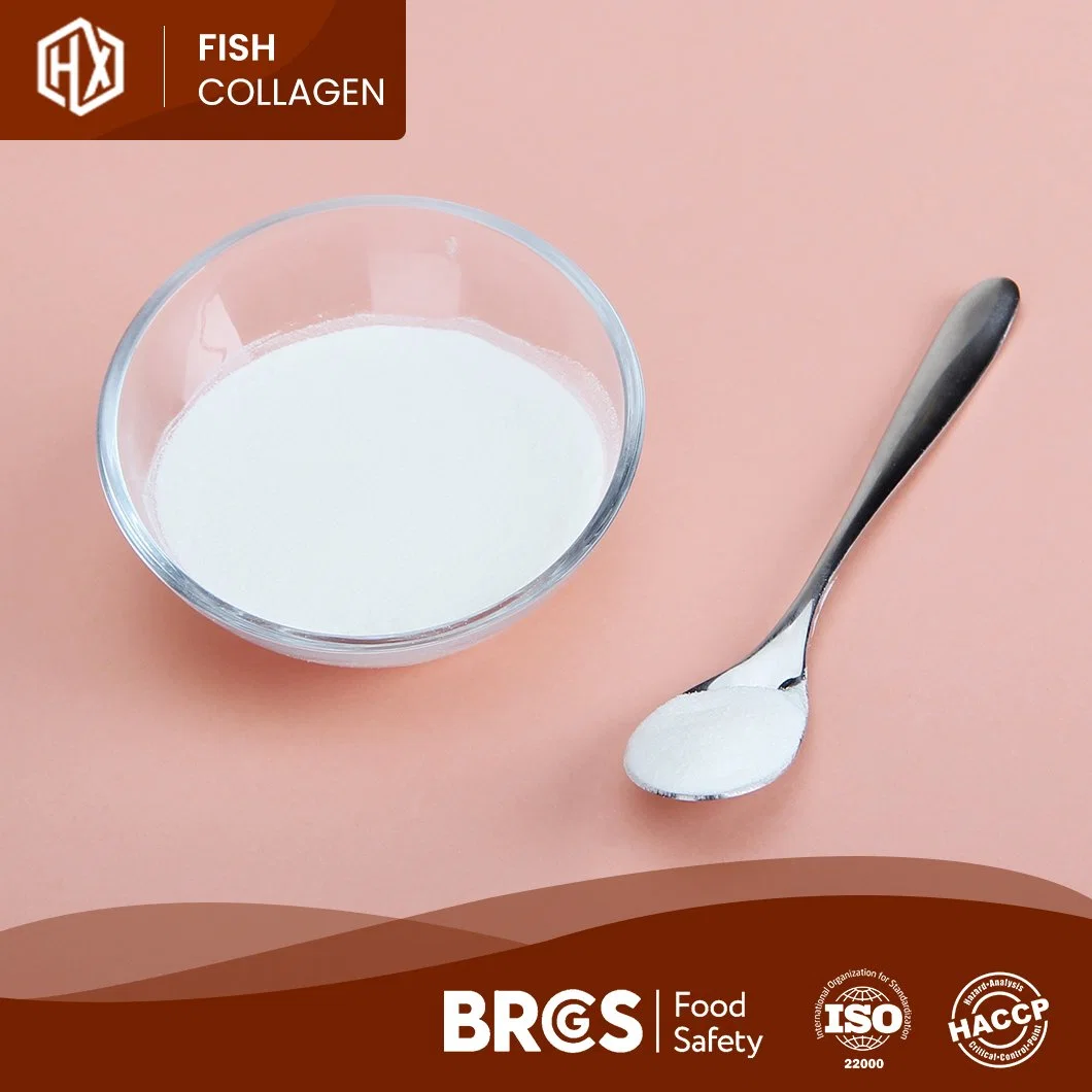 Haoxiang Collagen Peptides Powder Manufacturer Wholesale/Supplier Boosting Powder White or Pale Yellow Appearance Top Grade Marine Tilapia Scale Collagen Peptide Powder