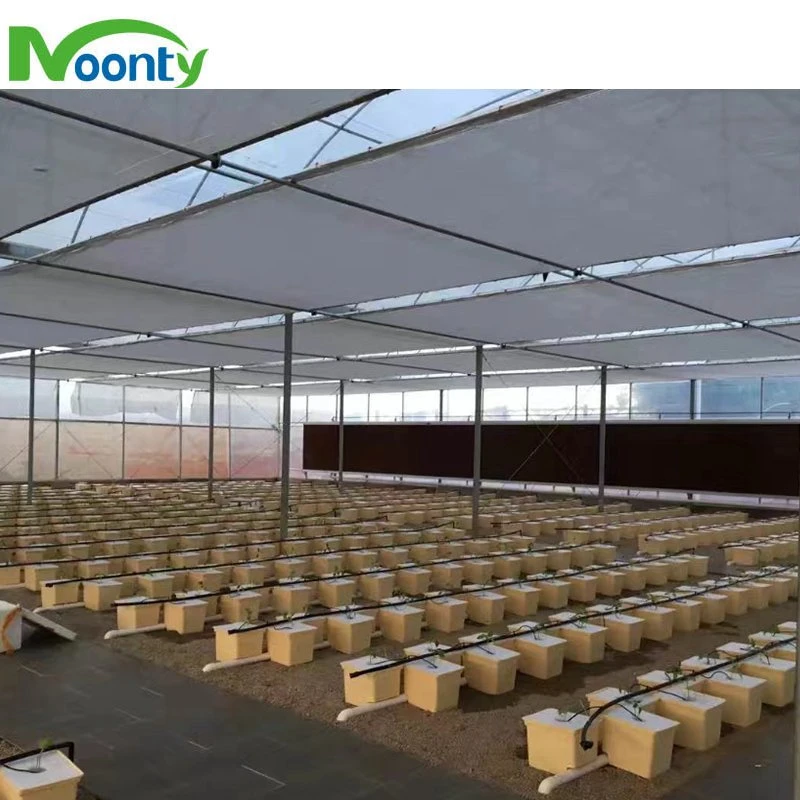 High quality/High cost performance  Water Culture Plastic Dutch Bucket Hydroponic System Factory Price