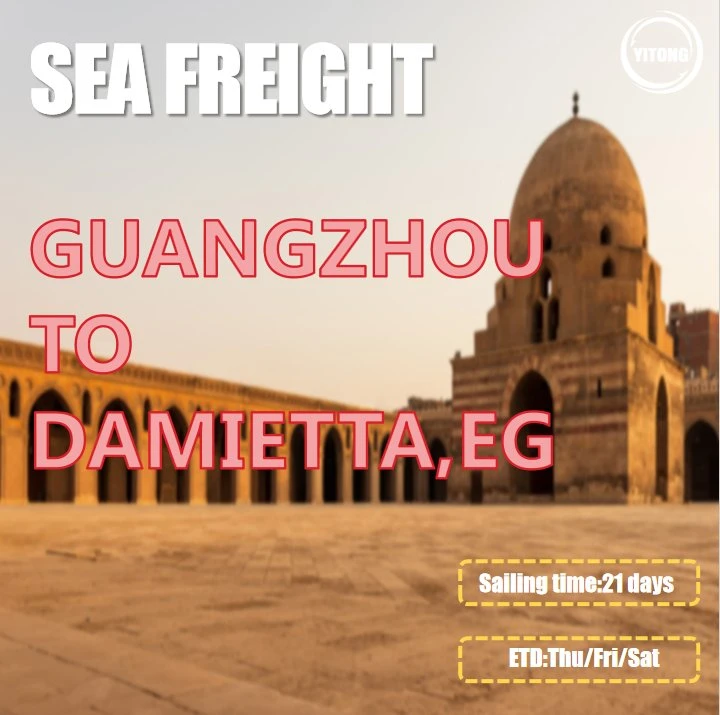 Cargo Ship Price From Qingdao to Damietta Egypt