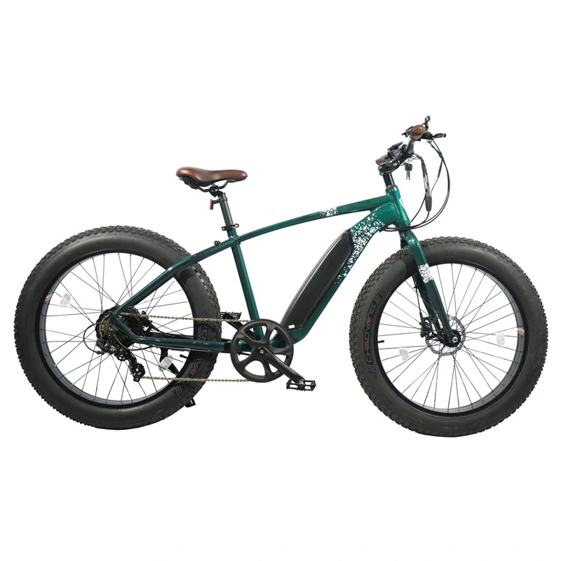 Fat Tire Electric Bike 29 Inch 1000W Us Warehouse