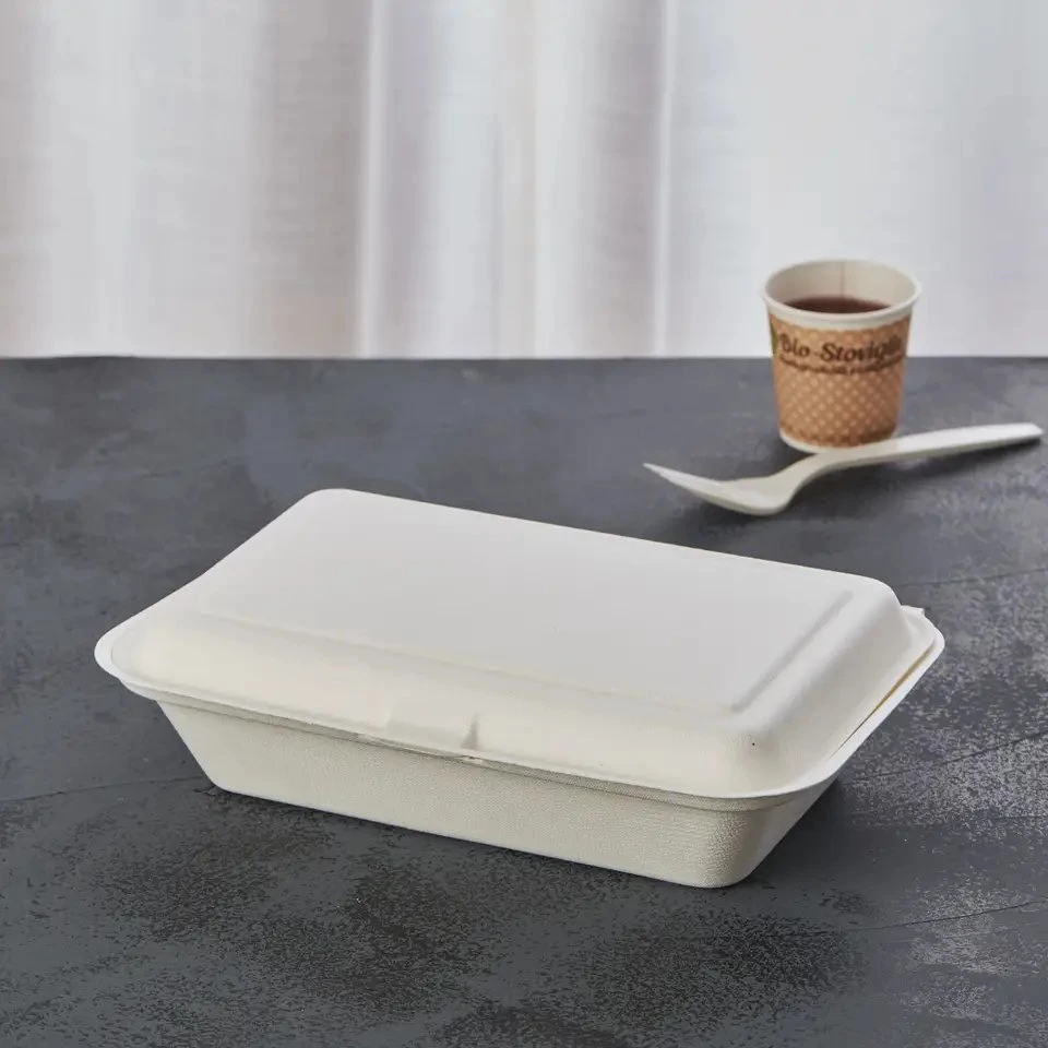 Zuckerrohr Bagasse Mitnehmen Mittagessen Bento 9" X 6" Scharnierdeckel Behälter