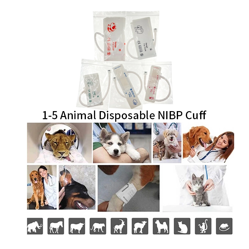 Monitor LCD Monitor Veterinary Blood Pressure Veterinary Portable Monitor ECG